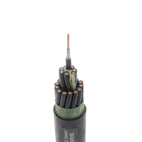 WDZCN-KYJY WDZBN-KYJY23 Auxiliary Cable